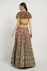 Multi Colored Trellis Rabia Lehenga Set